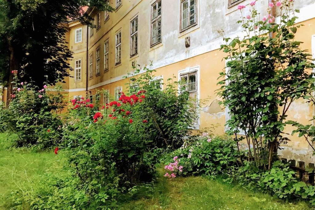 Rose Apartments / Romantic & Cozy / City Center Praga Exterior foto